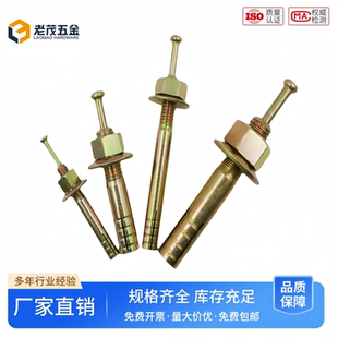 膨胀螺栓锤击壁虎膨胀栓 举升机膨胀螺丝一钉得击芯膨胀螺丝敲击式