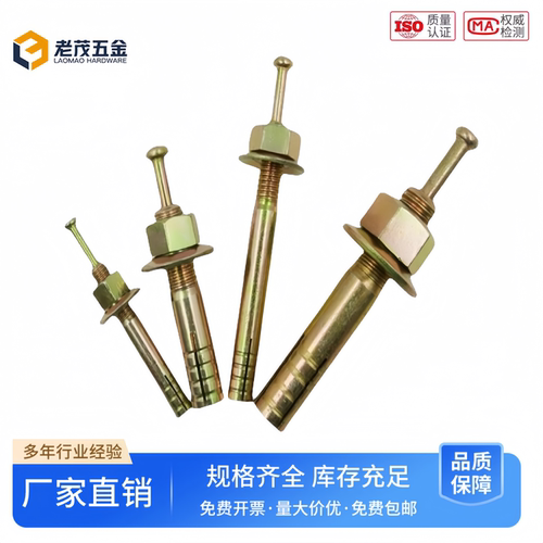 一钉得敲击式膨胀螺栓举升机壁虎