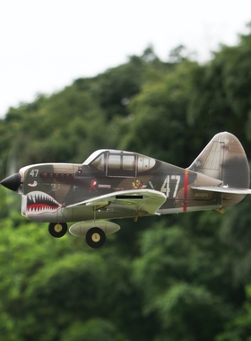 MinimumRC P-40战斗机飞虎队多协议遥控模型固定翼像真拼装航模