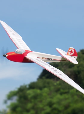 MinimumRC Minimoa 鸥翼滑翔机机700mm拼装像真多协议遥控固定翼
