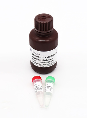 Equalbit 1 × dsDNA HS Assay Kit（EQ121-01/02）