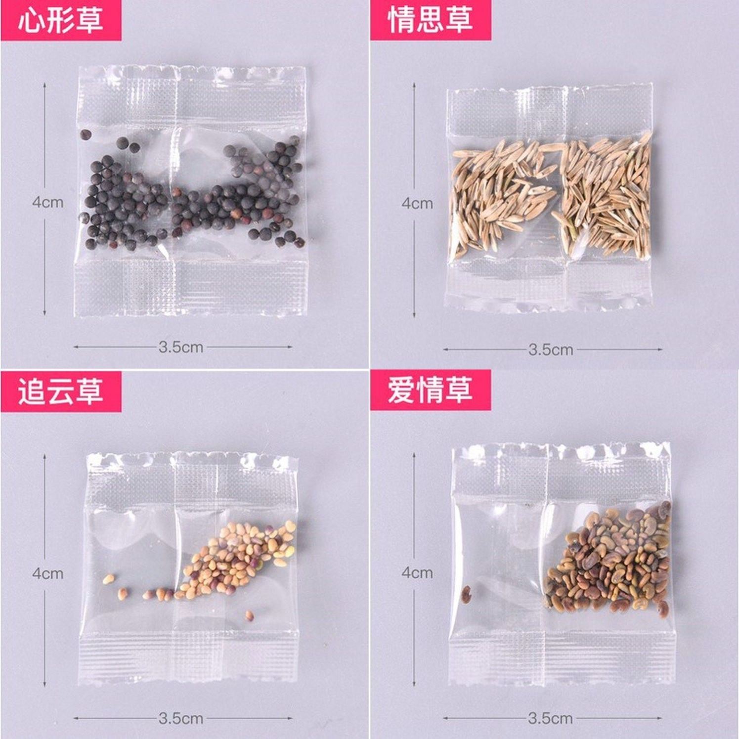 草籽种子情思小盆栽长草头娃娃