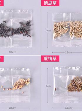 草籽种子情思小盆栽长草头娃娃