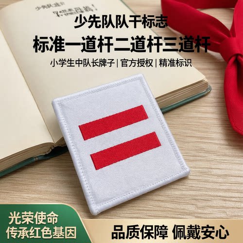 少先队臂章少先队队干标志