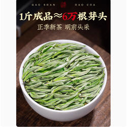 九华佛茶 黄石溪毛峰正宗安徽池州九华山2025新春嫩芽绿茶叶金奖