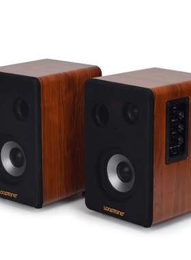 有源音箱U盘SD卡蓝牙音箱双路输入留声机黑胶唱片机专用内置唱放