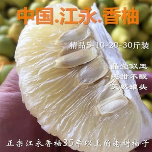 湖南江永香柚正宗江永柚子老树柚子沙田柚纯甜不酸包邮