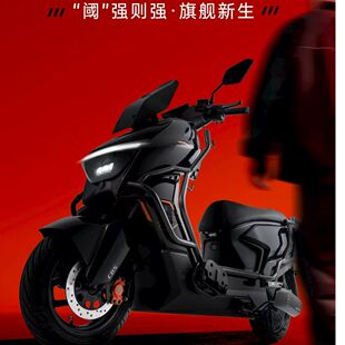 【赛鸽黑武士TM890】高速赛鸽黑武士