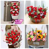 送台州市仙居县温岭市临海市同城鲜花店38女王节康乃馨送妈妈婆婆