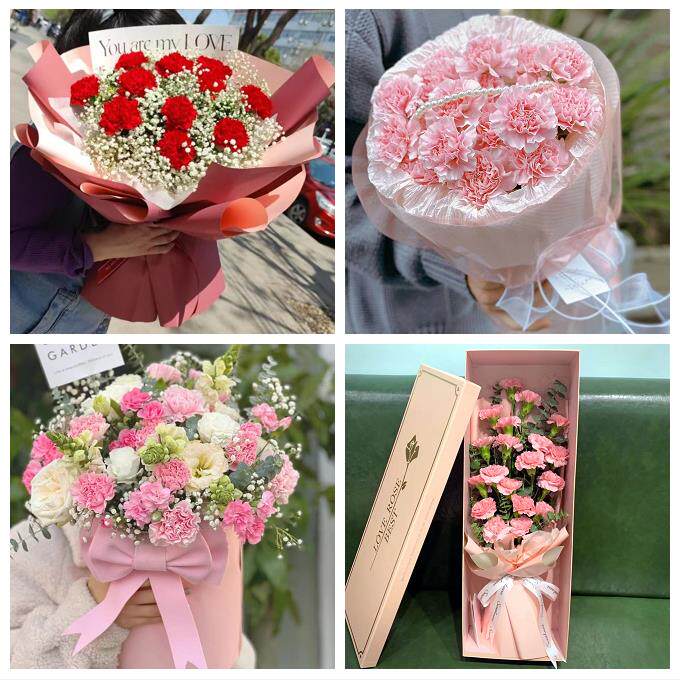 送绥化市庆安县明水县绥棱县同城鲜花店订康乃馨送长辈生日看病人