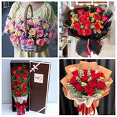 商洛市商州区洛南丹凤商南县同城鲜花店三八玫瑰送闺蜜女朋友老婆