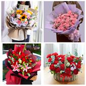 送渭南市富平县韩城市华阴市同城鲜花店38女王节康乃馨送妈妈婆婆