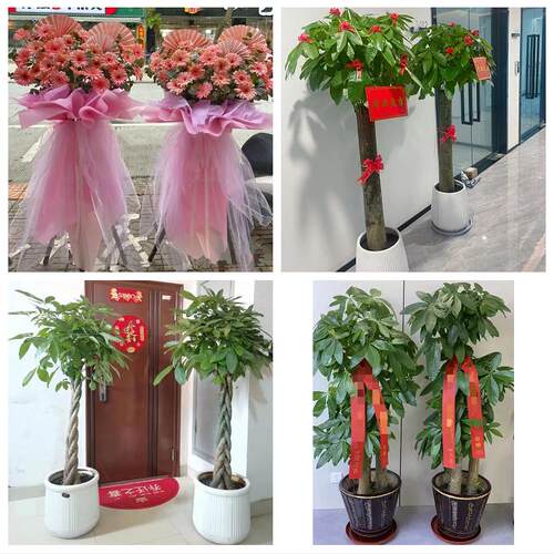 辽阳市白塔文圣宏伟弓长岭区同城鲜花店新店开业花篮公司乔迁开张