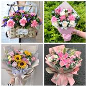 天津市河西区陈塘庄柳林东海同城鲜花店38女王节康乃馨送妈妈婆婆