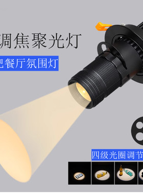 led投射灯聚光灯舞台餐厅酒吧