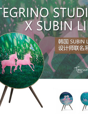 Tegrino可定制 A9音箱面罩 bo专用 良宵 韩国艺术家款Subin 联名