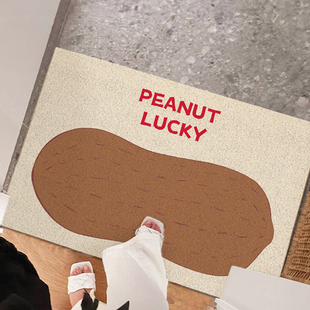 原素入户花生地垫丝圈进门防滑脚垫家用玄关耐脏蹭泥脚垫子可定制