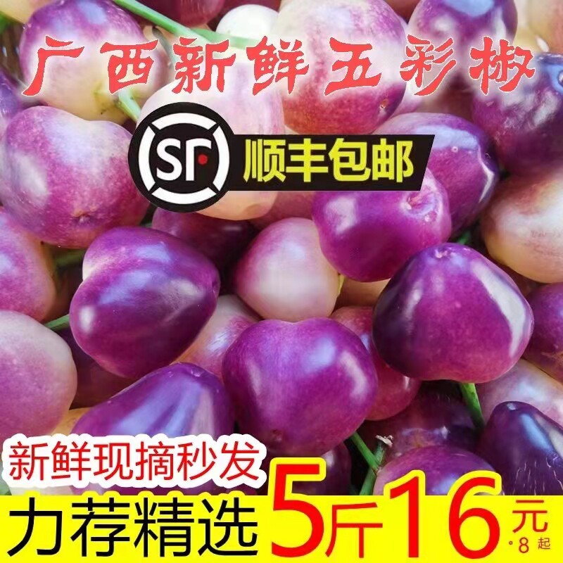 顺丰现摘广西七彩椒新鲜辣椒五彩椒特产蔬菜泡椒小灯笼椒米椒包邮