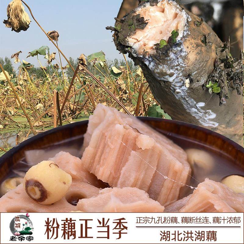 新鲜洪湖莲藕新鲜粉糯老余家湖北特产武汉九孔红花藕5斤