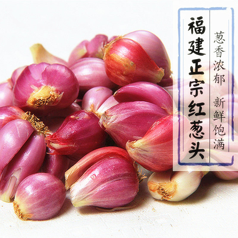 新鲜红葱头干葱头小香葱种子火葱油葱酥卤肉饭广东肠粉酱料包邮