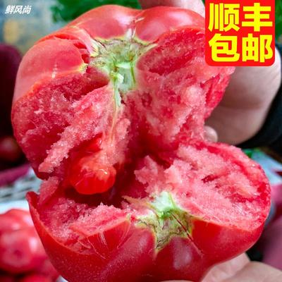 普罗旺斯西红柿新鲜自然熟10草莓柿子山东斤海阳生吃沙瓤水果番茄