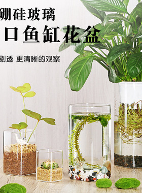 高硼硅方筒玻璃花瓶绿萝小鱼缸插花器水培景观花盆花瓶玻璃摆件