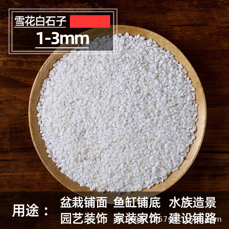 小白石子庭院造景鱼缸鹅卵石原石天然颗粒养花多肉盆栽装饰铺面石