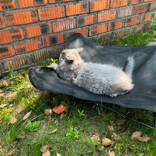 透气网面猫窝狗窝离地防潮 现货狗床猫床防磨耐抓宠物床可拆洗四季