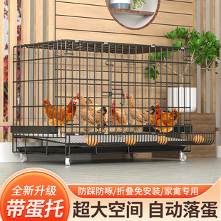家用室内大号特大号鸭鹅铁笼 小鸡笼自动清粪母鸡下蛋笼子关鸡鸭