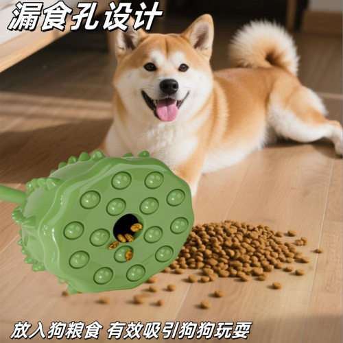 宠物漏食玩具莲蓬球磨牙洁齿狗狗玩具自嗨解闷耐咬狗玩具