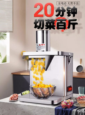 切丁机商用全自动土豆水果萝卜丁方块粒多功能切片切丝机可改110V