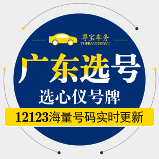 广州深圳东莞佛山珠海惠州江门汽油新能源汽车自编自选汽车牌选号