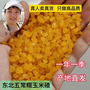 2025东北五常香糯玉米碴中粒粘大碴粥米饭伴侣青稞玉米碴新碴子