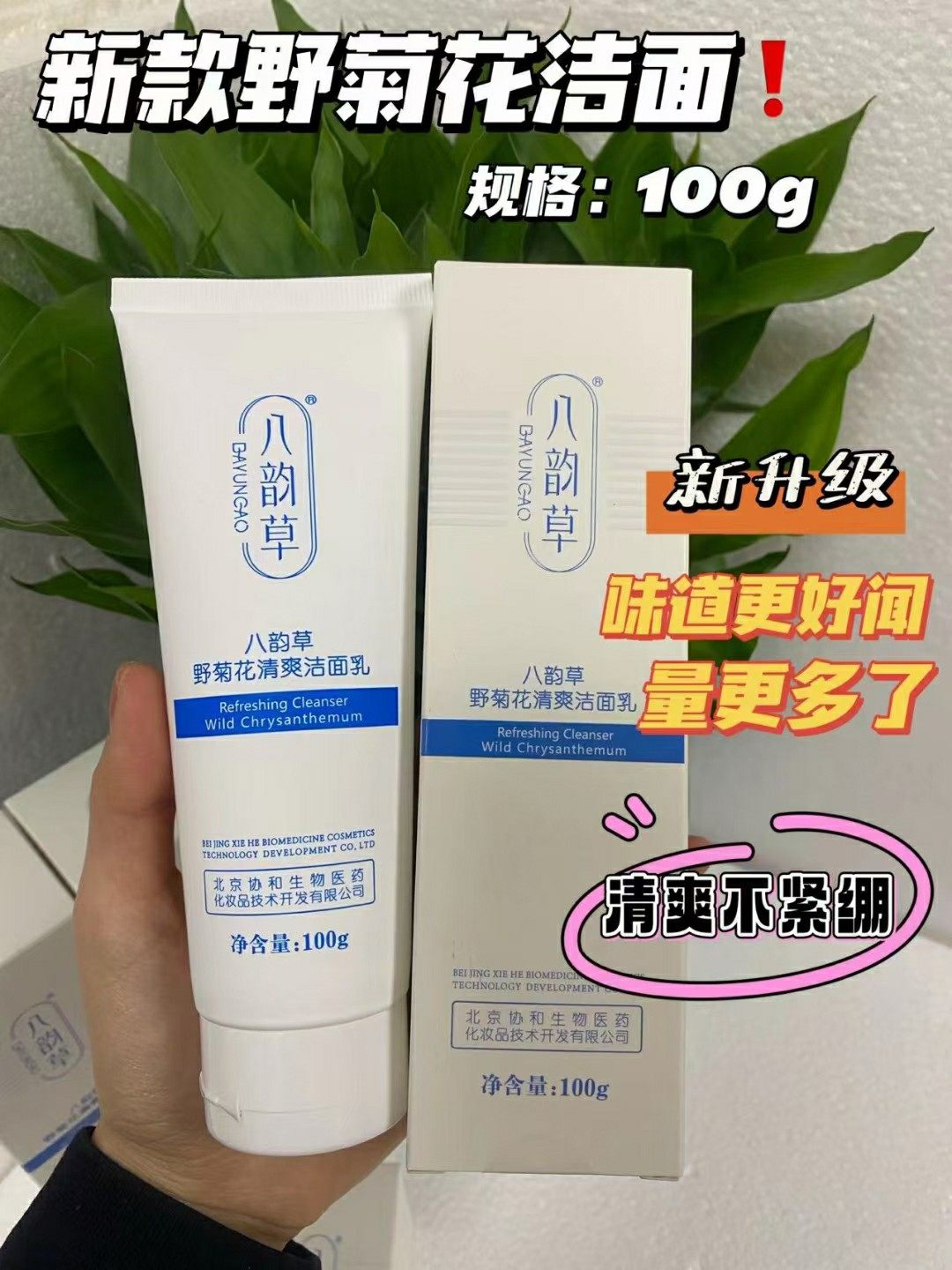 八韵草野菊花清洁男女保湿洗面奶 正品