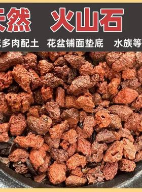 兰花多肉拌土用天然红色多孔火山石花盆铺面垫底