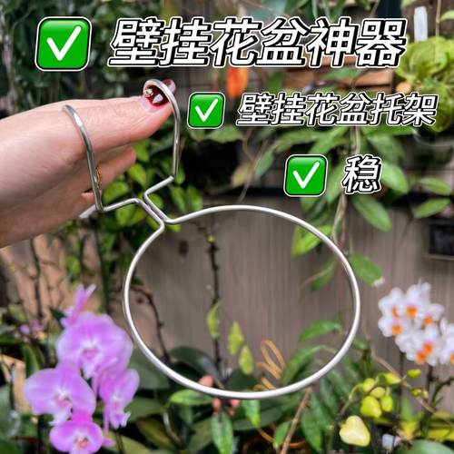 识兰花盆不锈钢托架壁挂