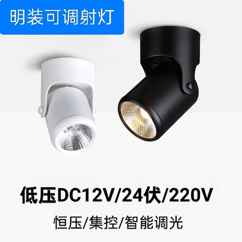 低压12V24V明装射灯可调吸顶筒灯