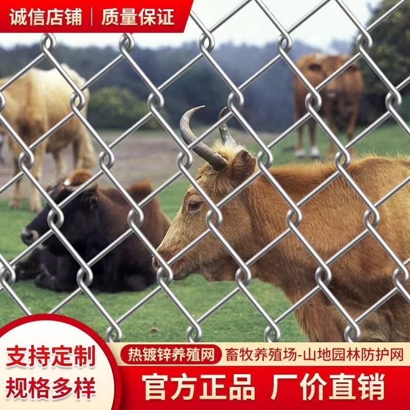 养殖热镀锌钢丝网围栏院墙果园菜园菱形铁丝网栅栏外护栏网