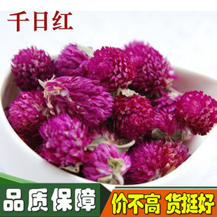 千日红百火球花花草茶精选500g包邮花茶另有红巧梅中药材