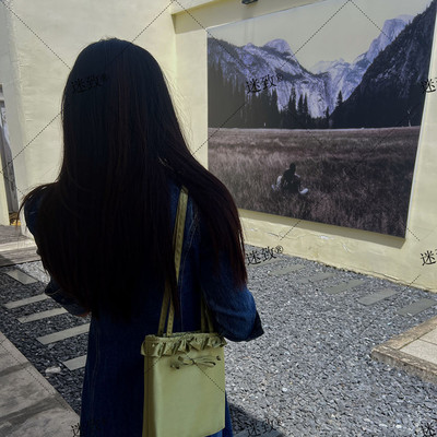 小众设计蝴蝶结小包包女士