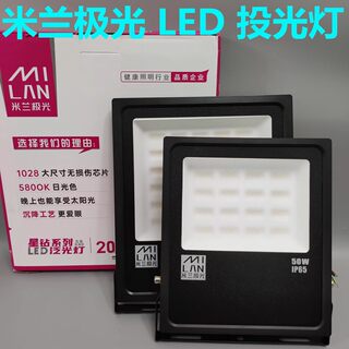 超亮LED照明投光灯50W100W200瓦仓库房防爆户外防水探照灯150W