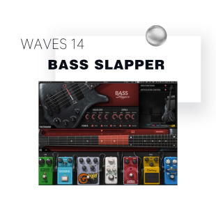 Bass WAVES14 Slapper 拍弦贝i斯音源 插件音色