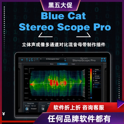BlueCat-s立体声声场分析仪