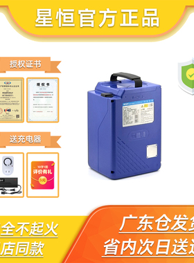 星恒原厂全新官方正品48V24Ah超锂S20雅迪爱玛小刀新日电动车电池