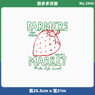 卡通手绘ins草莓字母潮牌女装烫画贴服饰辅料服装diy白墨烫画2962