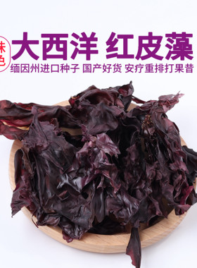 大西洋红皮藻海藻红带脱水蔬菜干海菜安东尼推荐安疗蔬菜红皮藻干