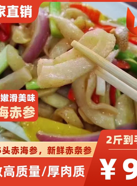 赤参新鲜冷冻海参酒店专用参包邮