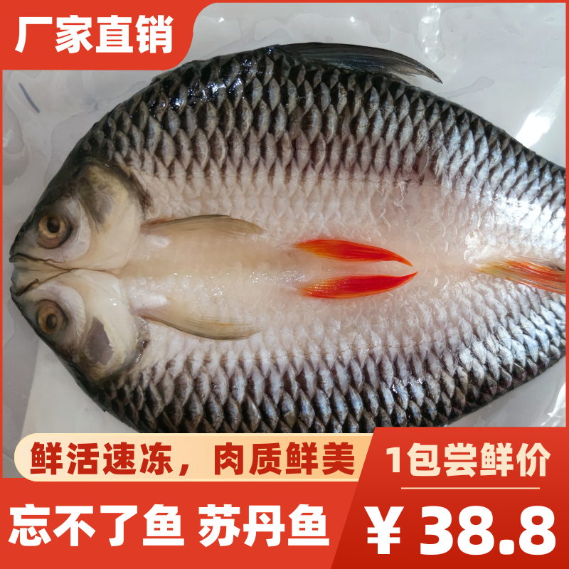 冷冻马来忘不了鱼淡水苏丹鱼新鲜皇帝鱼太子鱼酒店宴席特色菜包邮,水产肉类/新鲜蔬果/熟食,淡水鱼类,淘宝优惠券,粉丝福利购,淘宝优惠卷