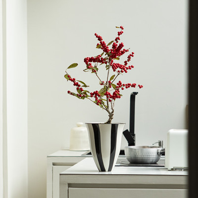 红色果盆栽节日氛围感满满