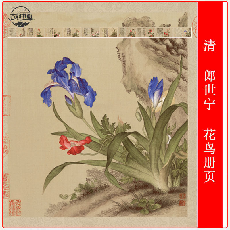 清  郎世宁  花鸟册页复古书画长卷国画高清微喷仿古复制品装饰画